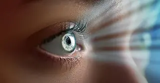 অন্ধকারের মাঝেও যদি দেখতে পান কেমন হবে?
